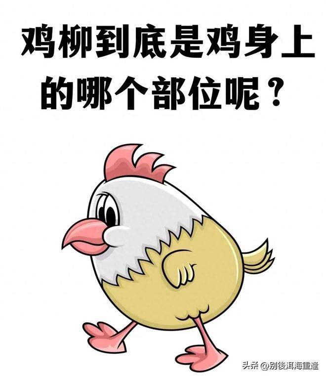 新视频曝光利物浦三将冲突真因：袖标传递顺序激怒琼斯，齐米卡斯怒扔袖标
